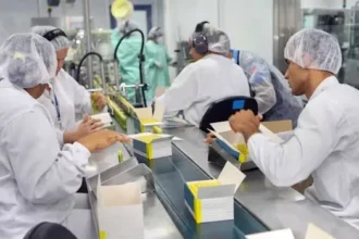 auxiliar de produção colombo