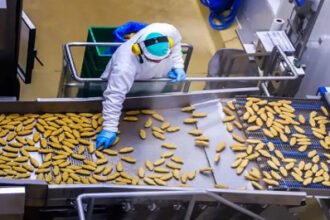 Auxiliar de Producao – Salario R 174346 – Vaga efetiva.png