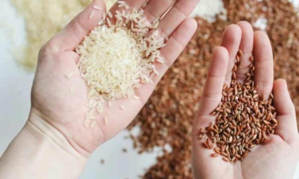 Arroz Federacao de produtores mostra dados contra importacao.jpg