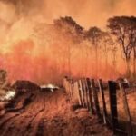 Incendios no Pantanal Aumentam 974 em 2024 Revela Inpe.jpg