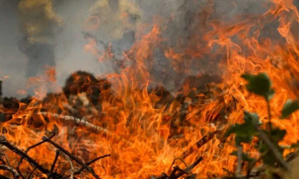 Incendios no Pantanal Brasil registra quase mil focos de fogo.jpg