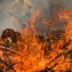 Numero de queimadas ate junho no Pantanal sobe 1776 em.jpg
