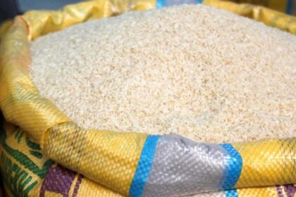 Produtores de arroz vao a Conab pedir cancelamento de leilao.jpg