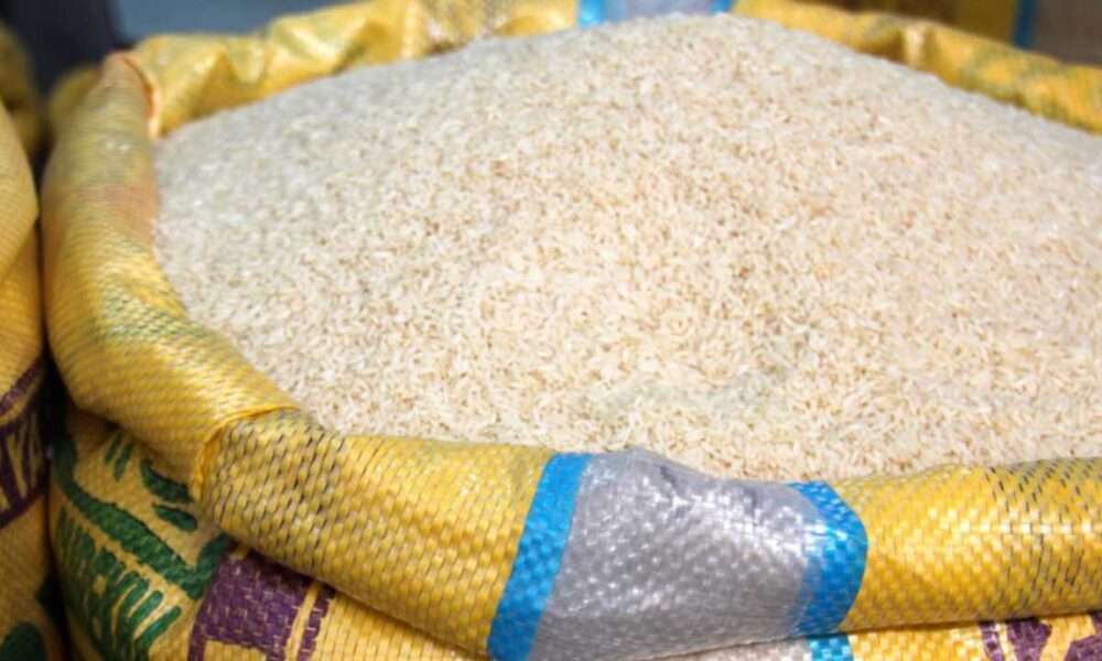 Produtores de arroz vao a Conab pedir cancelamento de leilao.jpg