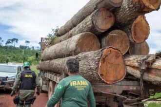 Servidores do Ibama iniciam greve nesta segunda feira.jpg