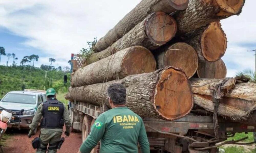 Servidores do Ibama iniciam greve nesta segunda feira.jpg