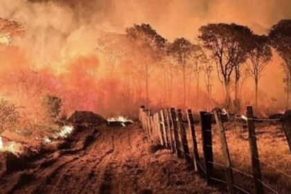 Sob governo Lula queimadas no Pantanal sobem mais de 2000.jpg