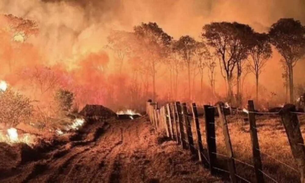 Sob governo Lula queimadas no Pantanal sobem mais de 2000.jpg