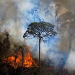 Amazonas registra recorde historico de focos de incendio em julho.jpeg