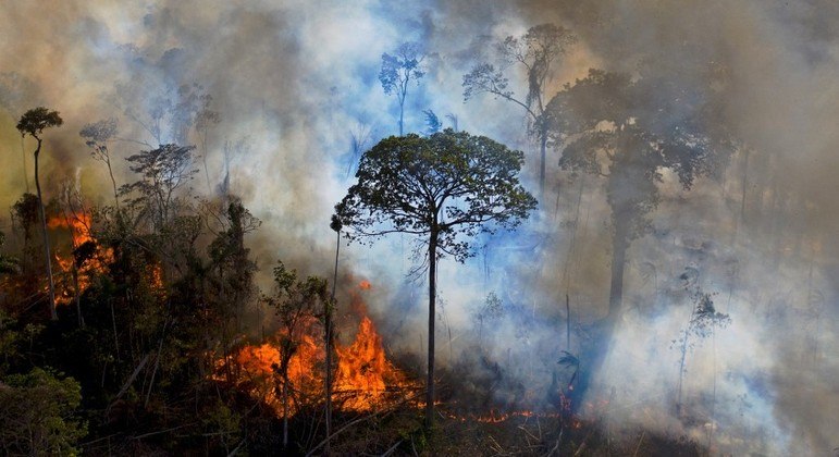 Amazonas registra recorde historico de focos de incendio em julho.jpeg