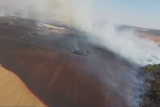 Fazendeiros apontam prejuizo incalculavel apos incendio em Goias.jpg