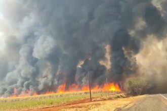 Fogo e fumaça altos impressionam na região de Ribeirão Preto — Foto: Arquivo pessoal