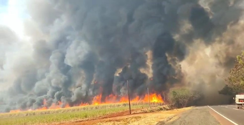 Fogo e fumaça altos impressionam na região de Ribeirão Preto — Foto: Arquivo pessoal