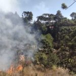 PF vai investigar acao criminosa em incendios em Sao Paulo.jpg