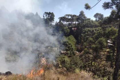 PF vai investigar acao criminosa em incendios em Sao Paulo.jpg