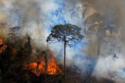 Sob governo Lula Amazonia tem pior temporada de queimadas em.jpg