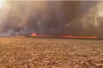 Suspeito de incendiar 700 hectares de fazendas e preso em.jpg