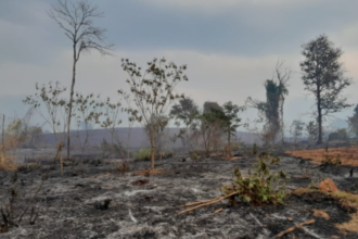 Fogo destruiu vegetação em Altinópolis, SP — Foto: Eduardo Poiares/Secretário da Administração e Finanças de Altinópolis (SP)