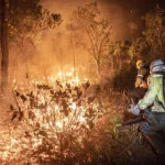 incendio-foto-mayandgi-inzaulgarat-ibama