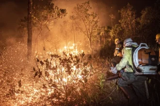 incendio-foto-mayandgi-inzaulgarat-ibama