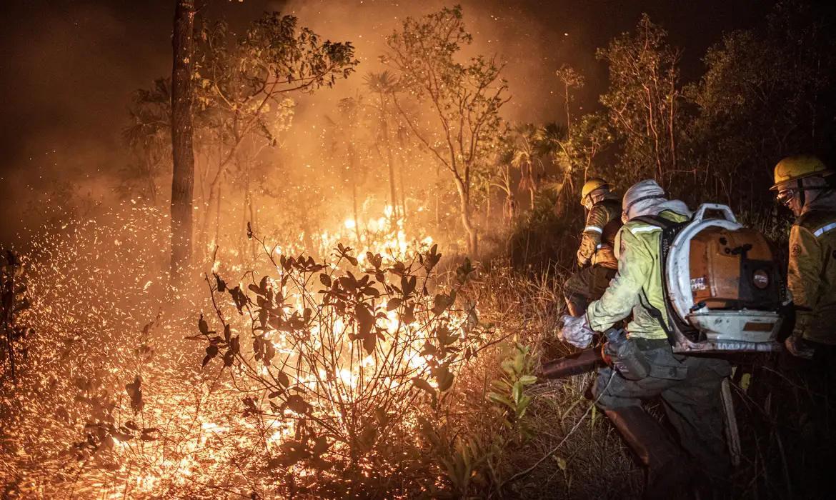 incendio-foto-mayandgi-inzaulgarat-ibama