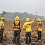 dino-estabelece-orcamento-de-emergencia-queimadas-foto-mayangdi-inzaulgarat-ibama