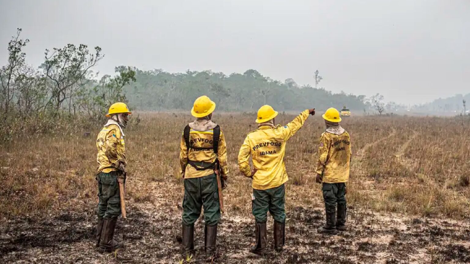 dino-estabelece-orcamento-de-emergencia-queimadas-foto-mayangdi-inzaulgarat-ibama