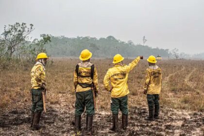 dino-estabelece-orcamento-de-emergencia-queimadas-foto-mayangdi-inzaulgarat-ibama