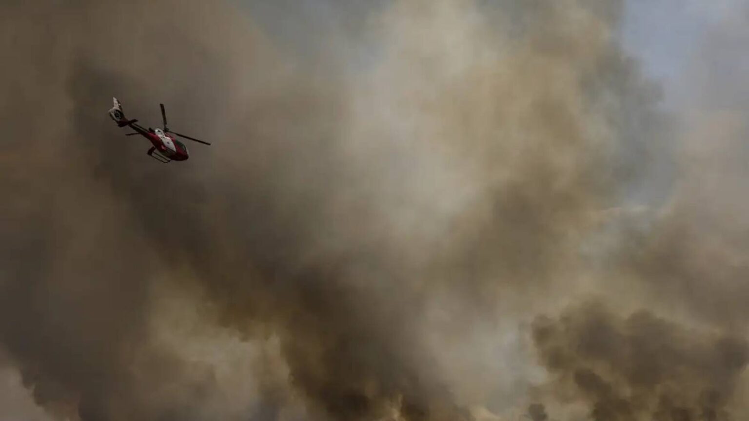 fogo-do-parque-nacional-de-brasilia-se-aproxima-das-casas-pf-investiga-origem-do-incendio-que-ja-consumiu-700-hectares-da-area-de-protecao-tvt-news