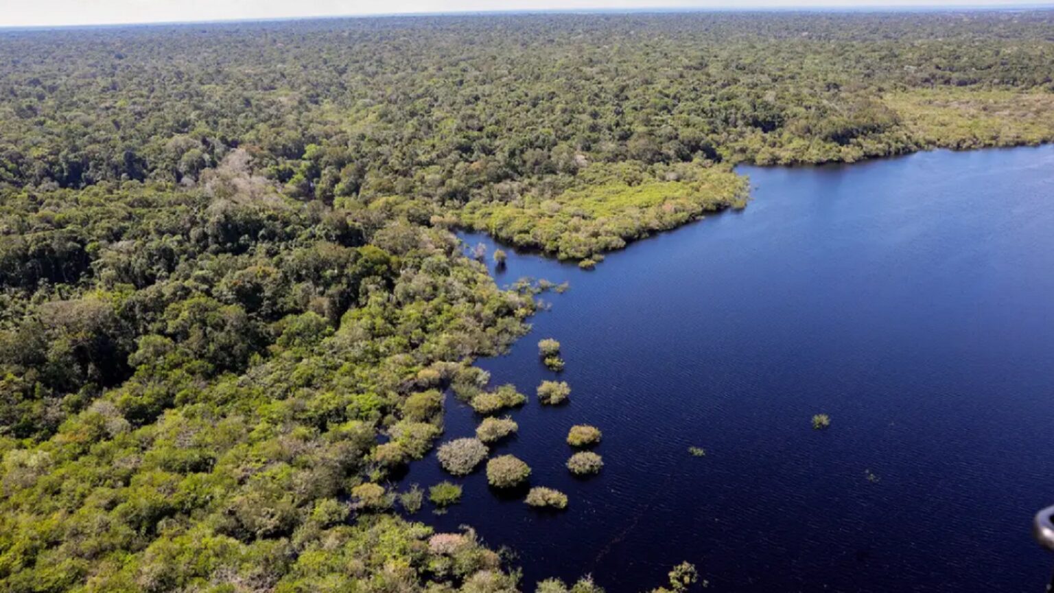 governo-lula-aposta-no-reforco-ao-fundo-amazonia-foto-fabio-rodrigues-pozzebom-ebc-tvt-news