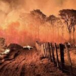 Governo cria novas multas e aumenta outras para incendios florestais.jpg