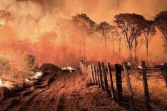 Governo cria novas multas e aumenta outras para incendios florestais.jpg