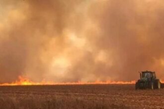 Quase todo estado de SP esta em emergencia para incendios.jpg