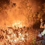 queimadas-incendios-florestais-99-sao-provocadas-por-humanos-mayangdi-inzalgarat-ibama-tvt-news