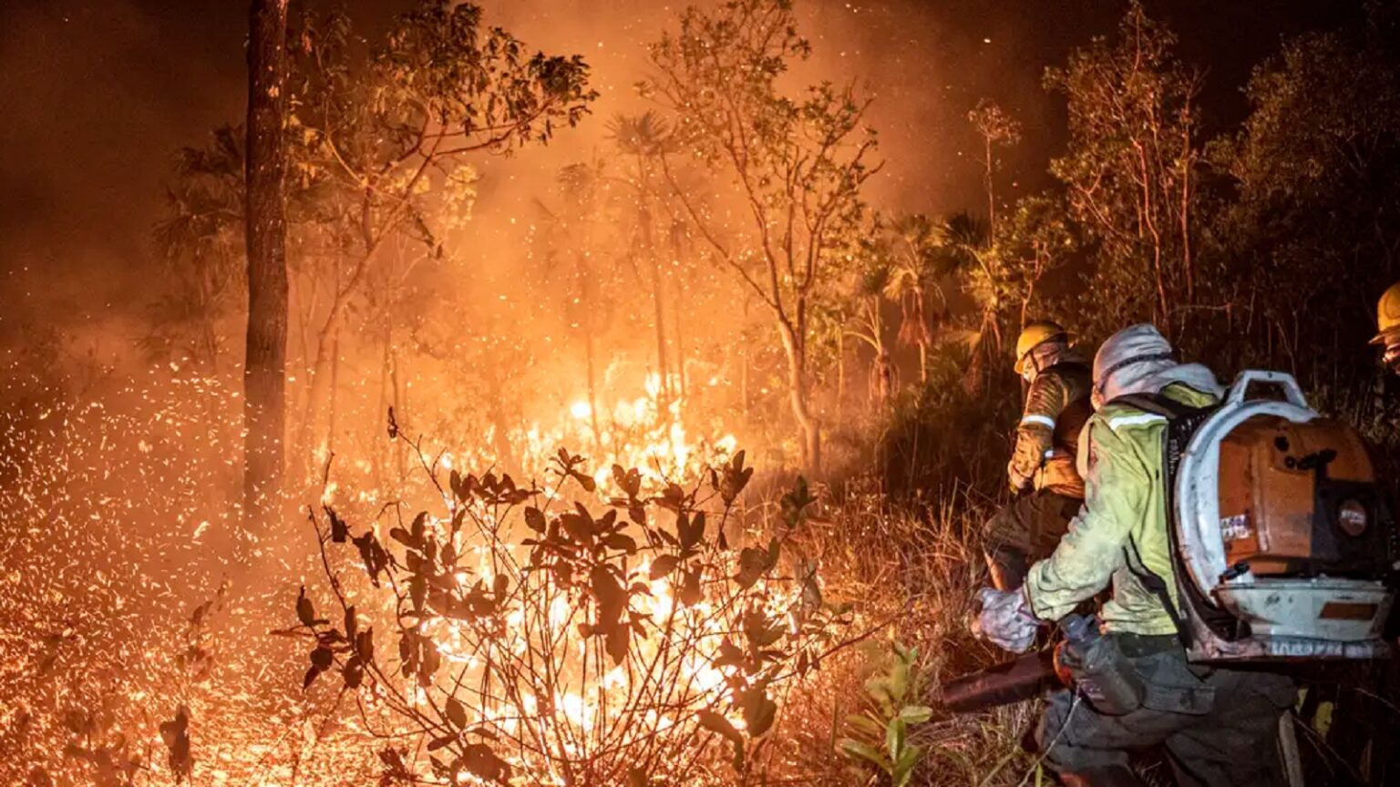 queimadas-incendios-florestais-99-sao-provocadas-por-humanos-mayangdi-inzalgarat-ibama-tvt-news