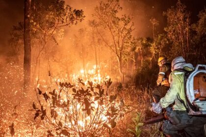 queimadas-incendios-florestais-99-sao-provocadas-por-humanos-mayangdi-inzalgarat-ibama-tvt-news