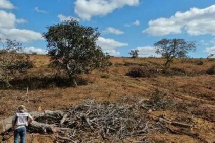 Regra do CNJ preve possibilidade de indenizacao milionaria por impacto.jpg