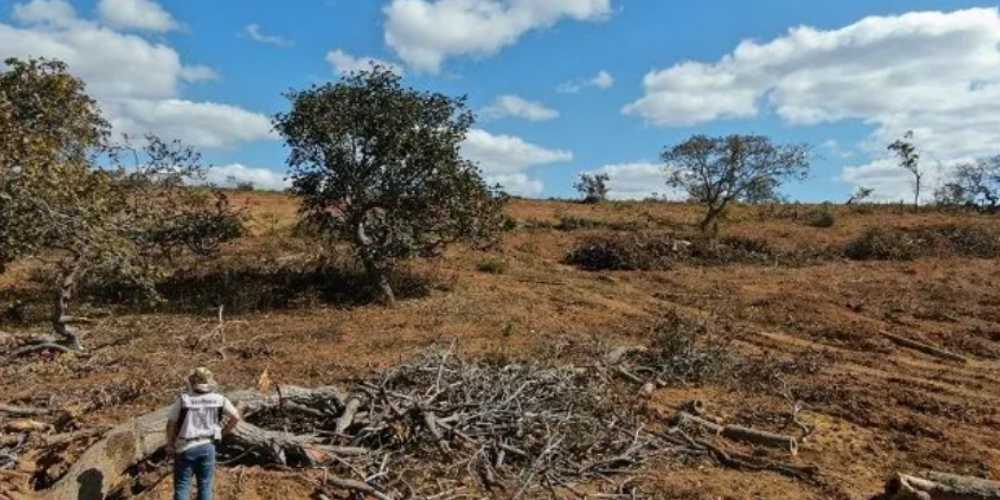 Regra do CNJ preve possibilidade de indenizacao milionaria por impacto.jpg