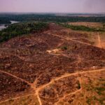 sem-amazonia-sudeste-vira-deserto-preservacao-urgente-foto-mayke-toscano-secom-mt-tvt-news