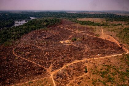 sem-amazonia-sudeste-vira-deserto-preservacao-urgente-foto-mayke-toscano-secom-mt-tvt-news