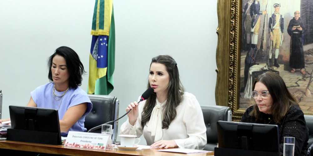 Camara CCJ aprova versao final de PL que limita decisoes.jpg