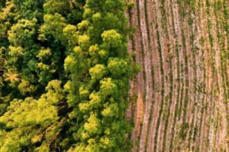 Confira o ranking de cidades mais ricas do agro no.jpeg