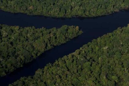 Degradacao de florestas na Amazonia bateu recorde mensal em setembro.jpg