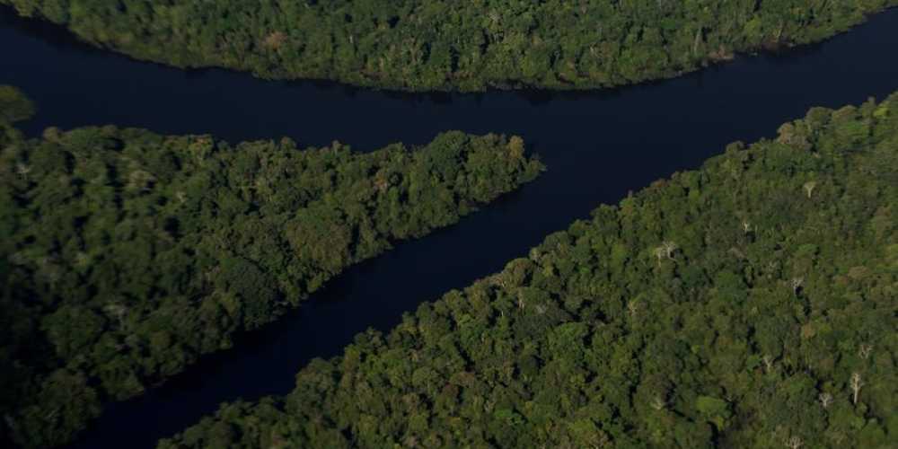 Degradacao de florestas na Amazonia bateu recorde mensal em setembro.jpg