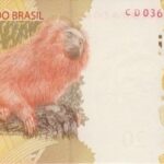 Nota de R 20 que Vale Uma Fortuna Veja Como.jpg