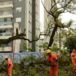 Tarcisio liga para Aneel e cobra acao contra Enel.jpg