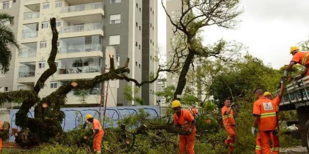 Tarcisio liga para Aneel e cobra acao contra Enel.jpg