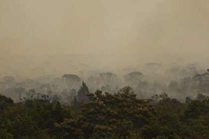 2024-foi-o-ano-mais-quente-da-historia-poluicao-e-desmatamento-contribuem-para-o-aumento-da-temperatura-foto-marcelo-camargo-agencia-brasil-tvt-news