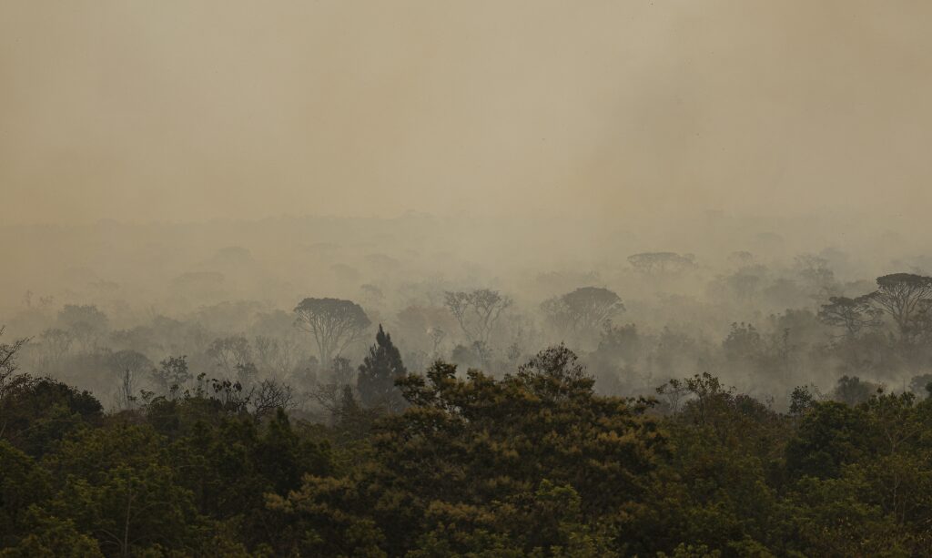 2024-foi-o-ano-mais-quente-da-historia-poluicao-e-desmatamento-contribuem-para-o-aumento-da-temperatura-foto-marcelo-camargo-agencia-brasil-tvt-news