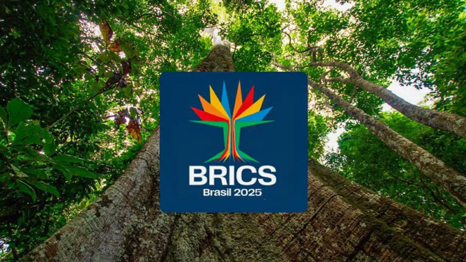 brasil-assume-a-presidencia-dos-brics-foto-secom-tvt-news